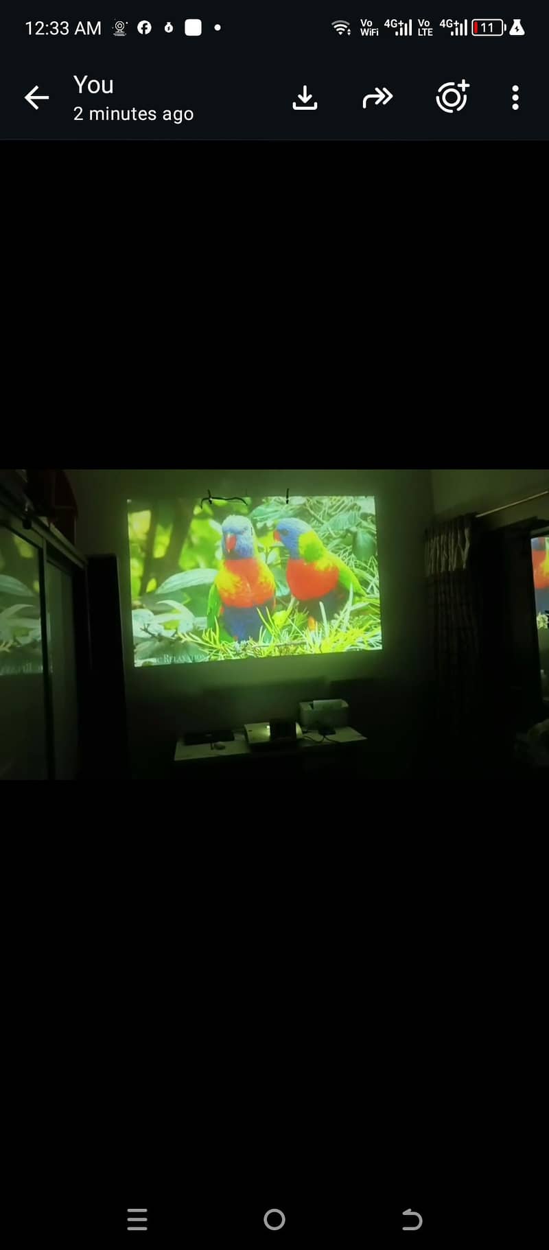 Projector 0