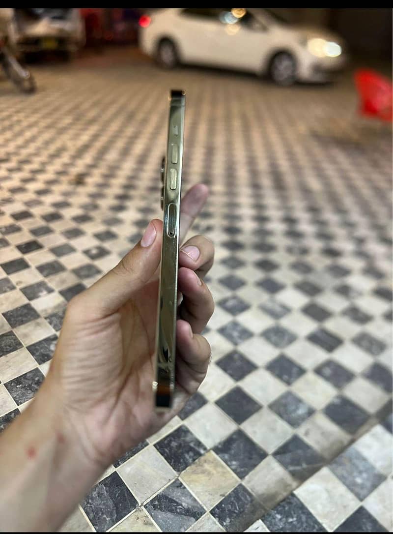 Apple iPhone 13 Pro Max 2