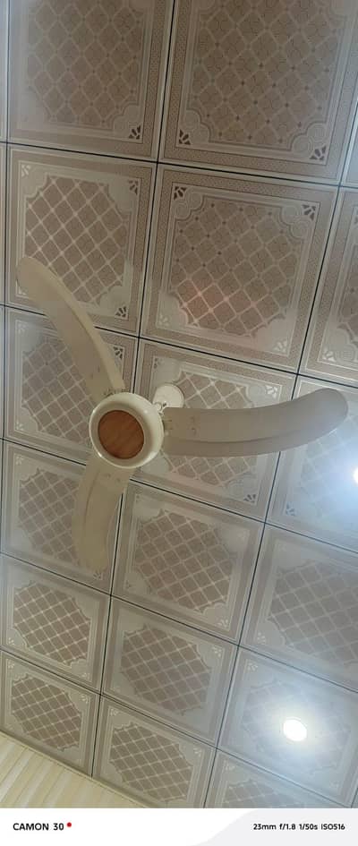 Ceiling Fan