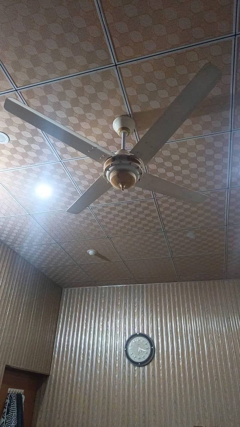 Ceiling Fan 1