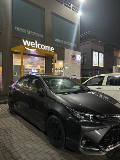 Your Car Rental 