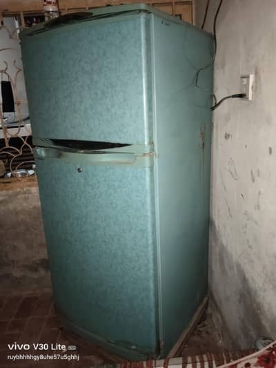 waves refrigerator