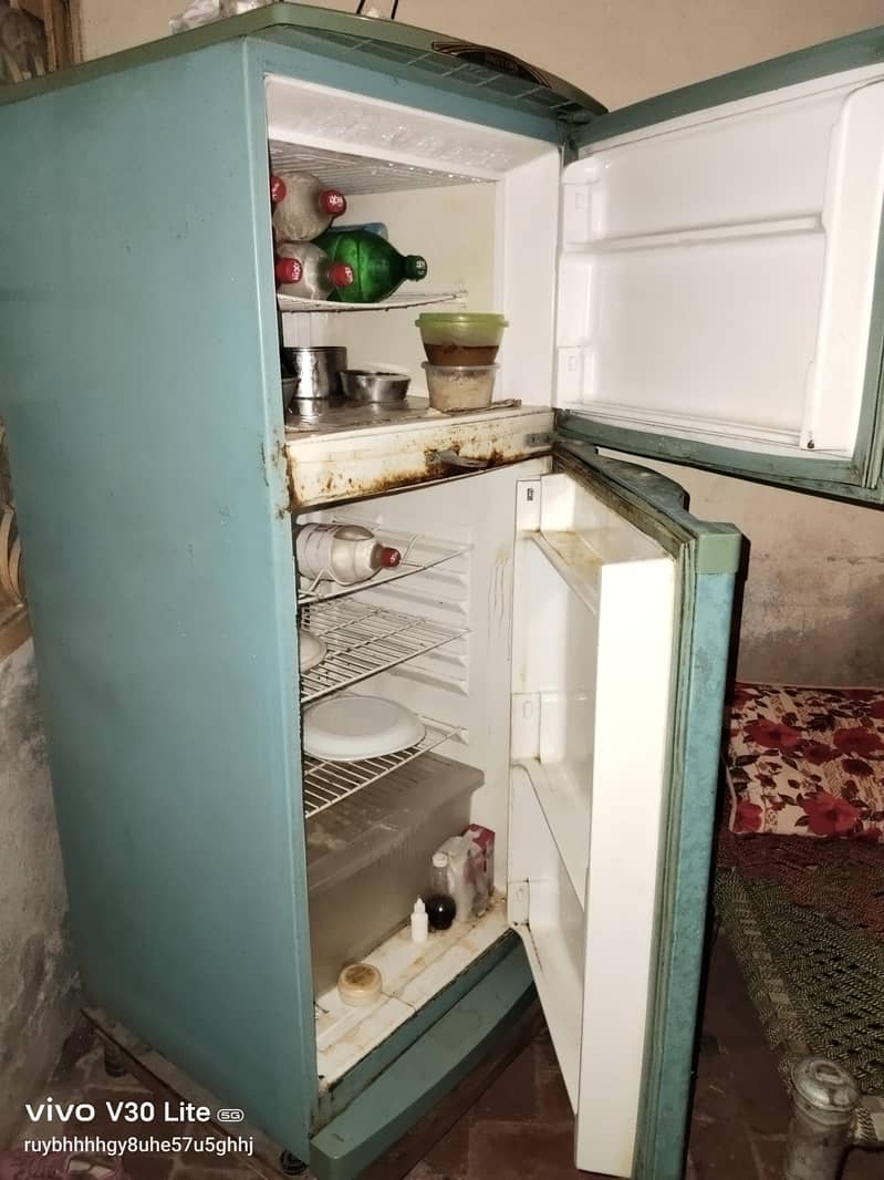 waves refrigerator 1