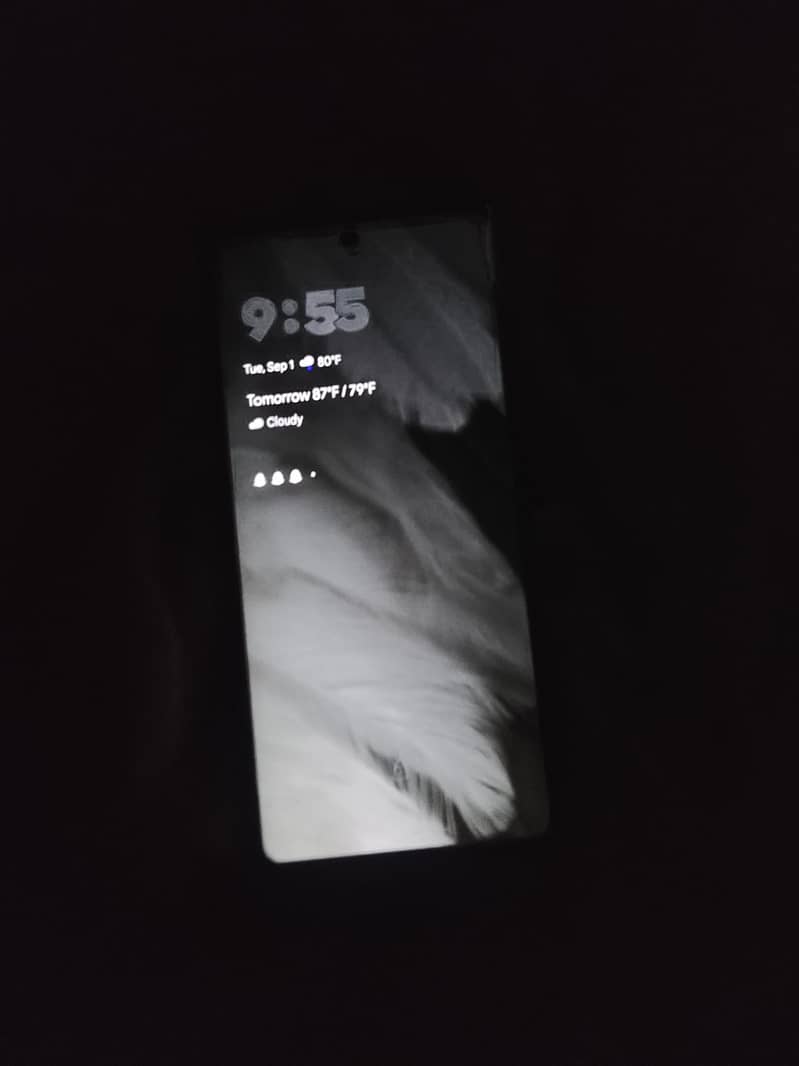 Google Pixel 7 Pro 6