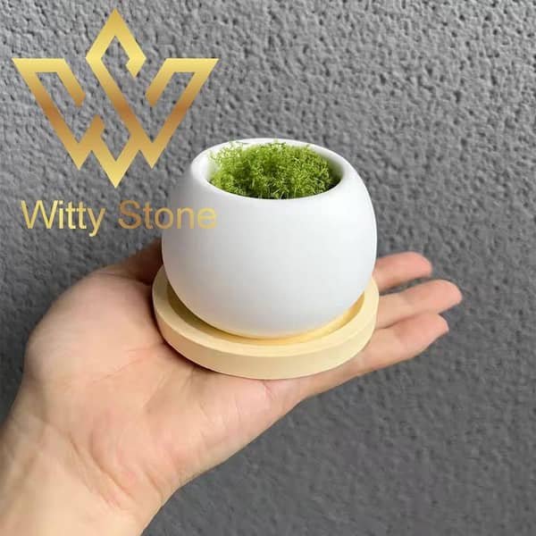 2Pcs Mini Pot Tray Concrete Plant Decoration Home Decor Ideas | Witty Stone