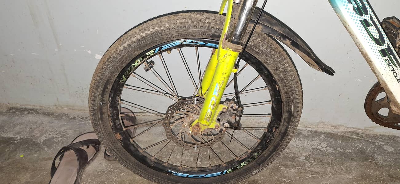 BDF BICYCLE 0