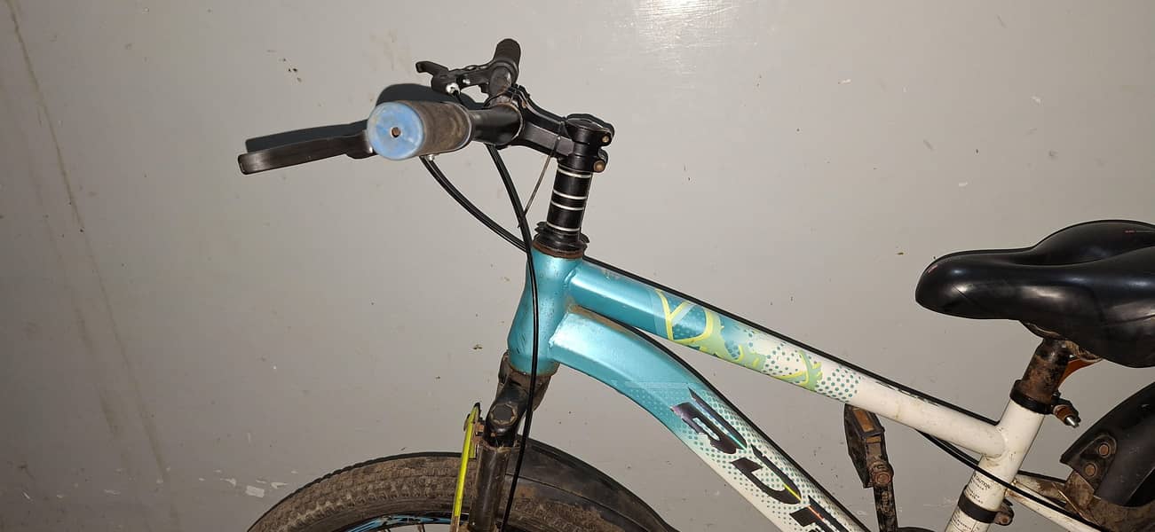 BDF BICYCLE 2