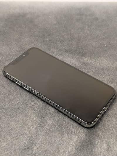 Apple iPhone X