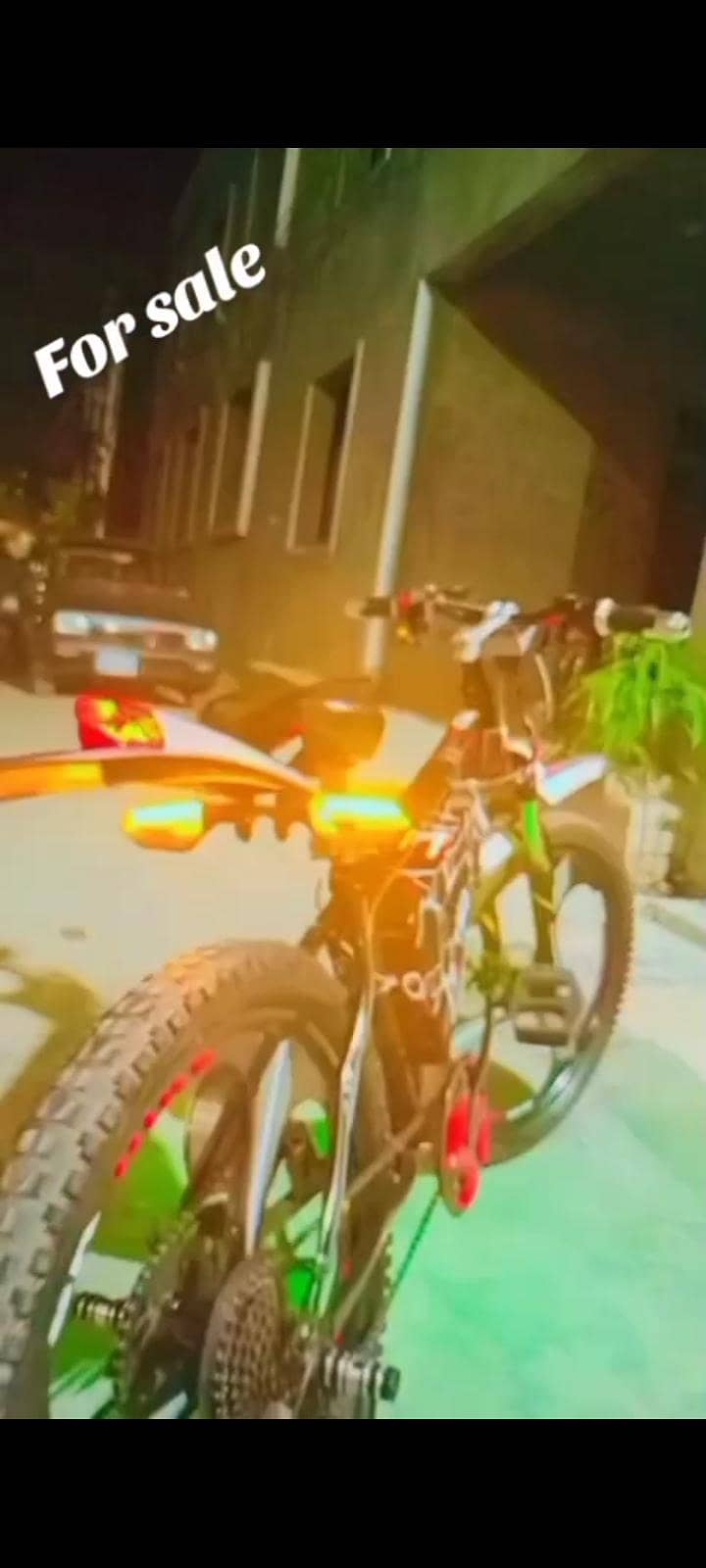 electric cycle 1