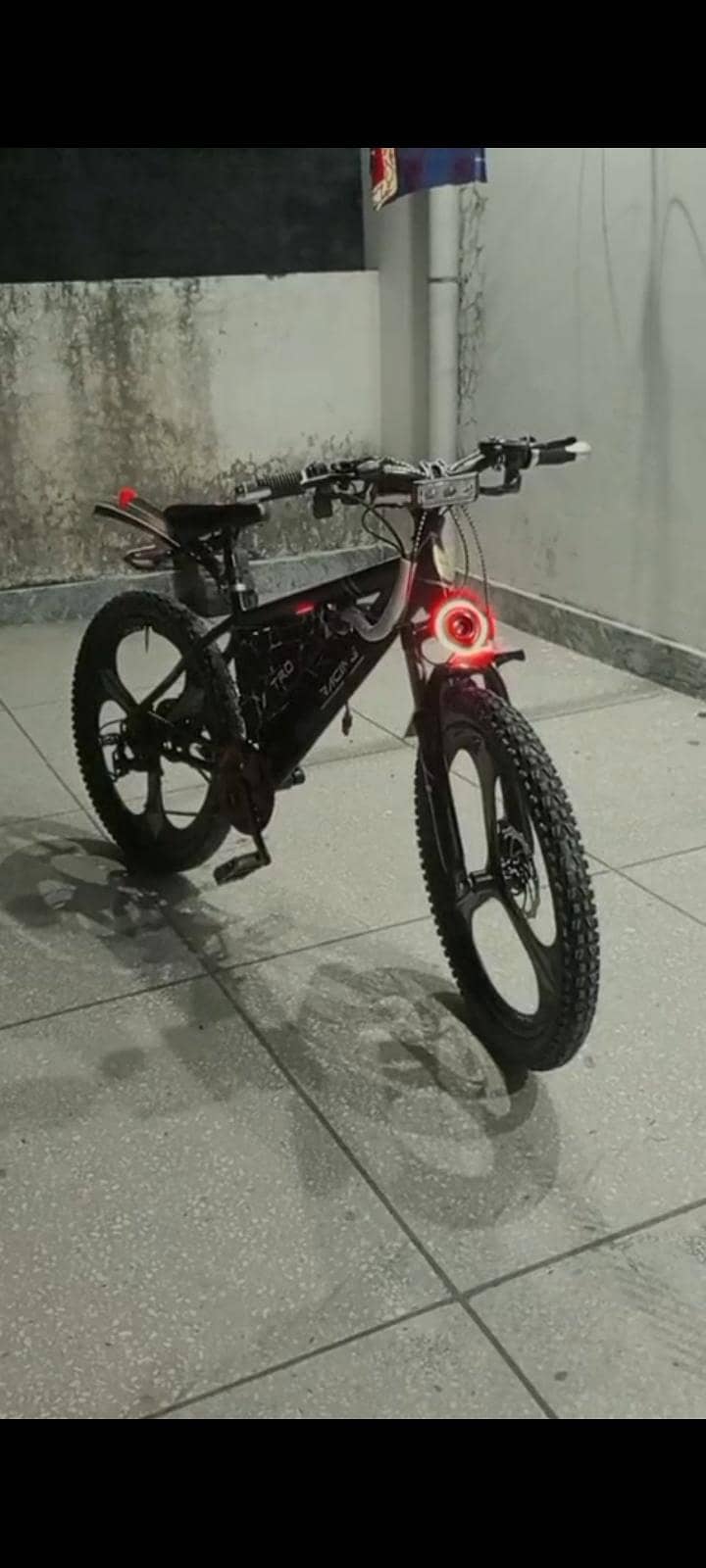 electric cycle 2