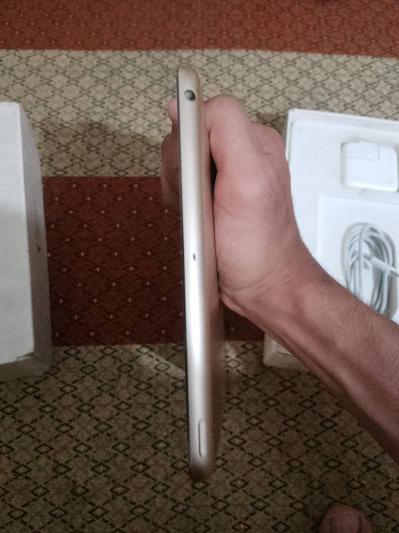 Ipad mini 3 golden 5