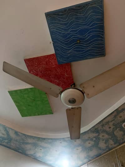cieling fan