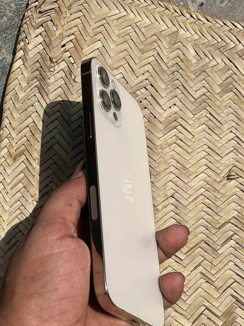Apple iPhone 12 Pro Max 1