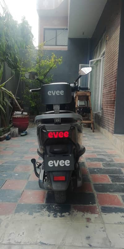 Evee Gen-Z 2026