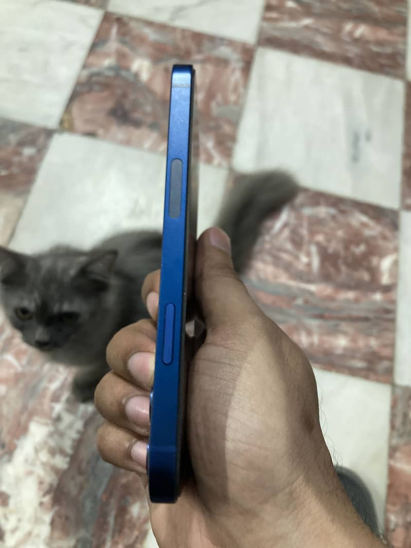 Apple iPhone 12 2