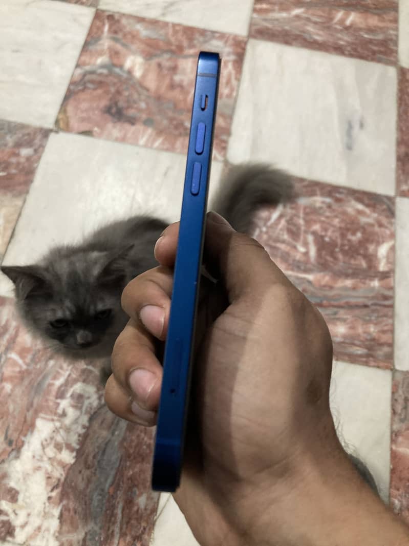Apple iPhone 12 4