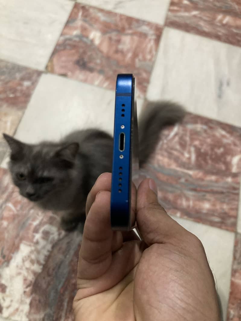 Apple iPhone 12 5