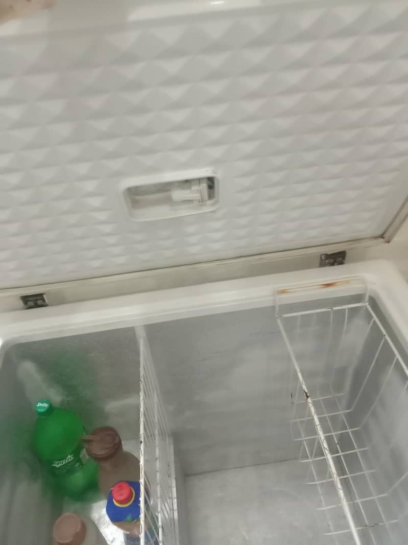 freezer 4