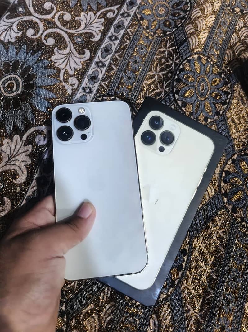 Apple iPhone 13 Pro Max 1