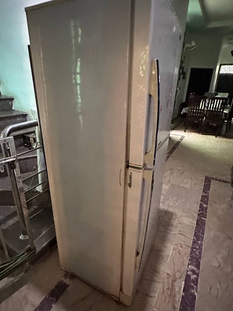 fridge 1