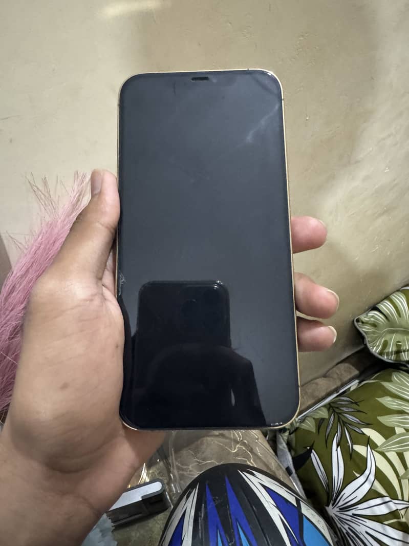 Apple iPhone 12 Pro Max 5