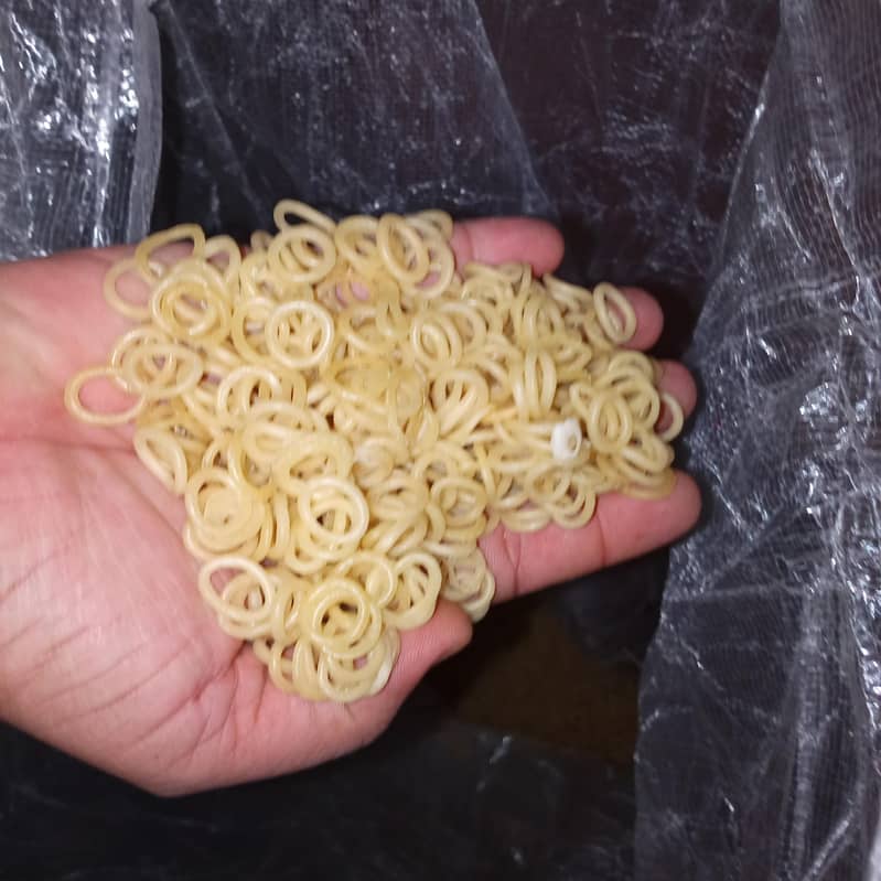 Raw Snacks - Kache Papar 1