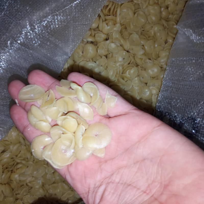 Raw Snacks - Kache Papar 3