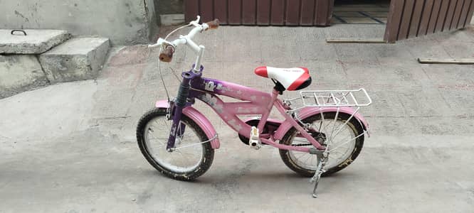 chinese bicycle
