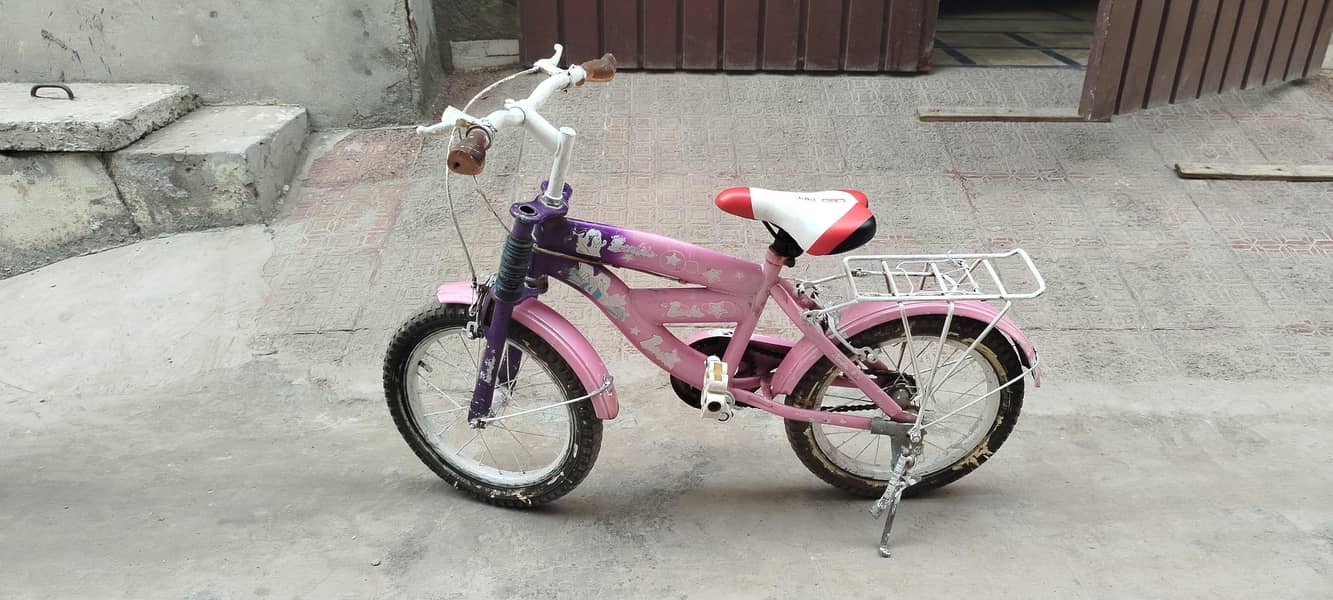 chinese bicycle 0