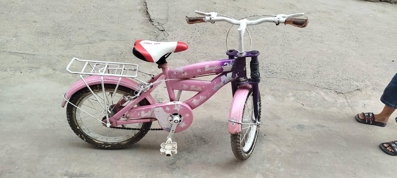 chinese bicycle 1