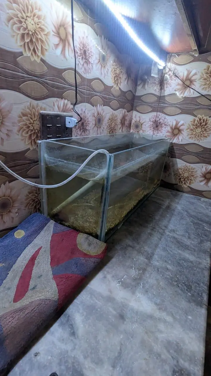 FISHES WITH AQUARIUM — photo 2