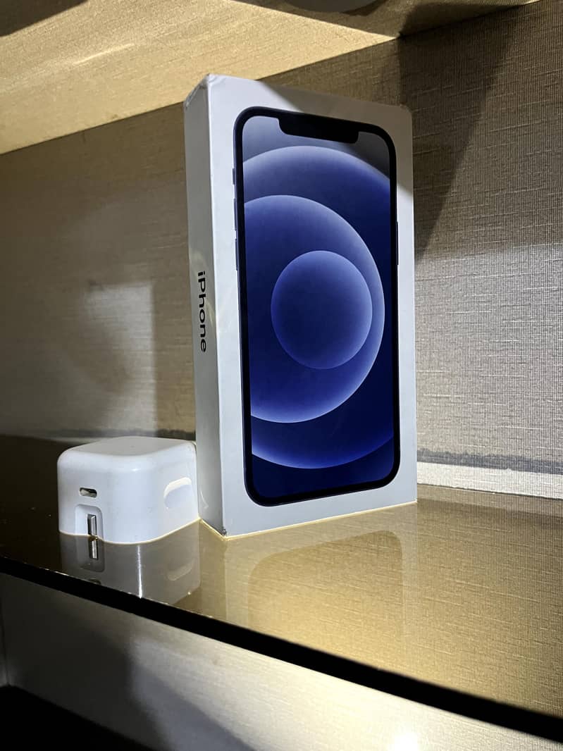 Apple iPhone 12 mini 1