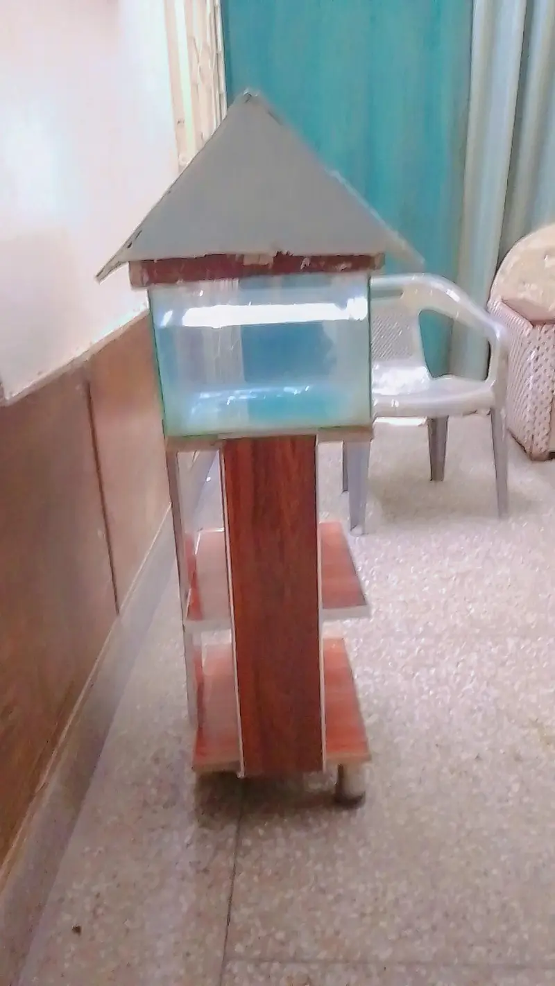 Fish tank /Aquarium for sale — photo 5