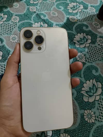 i phone  13 pro max