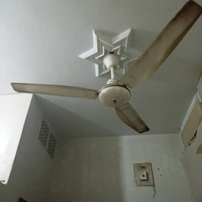 fan off hai