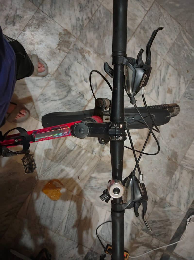 Folding Bicycle 1