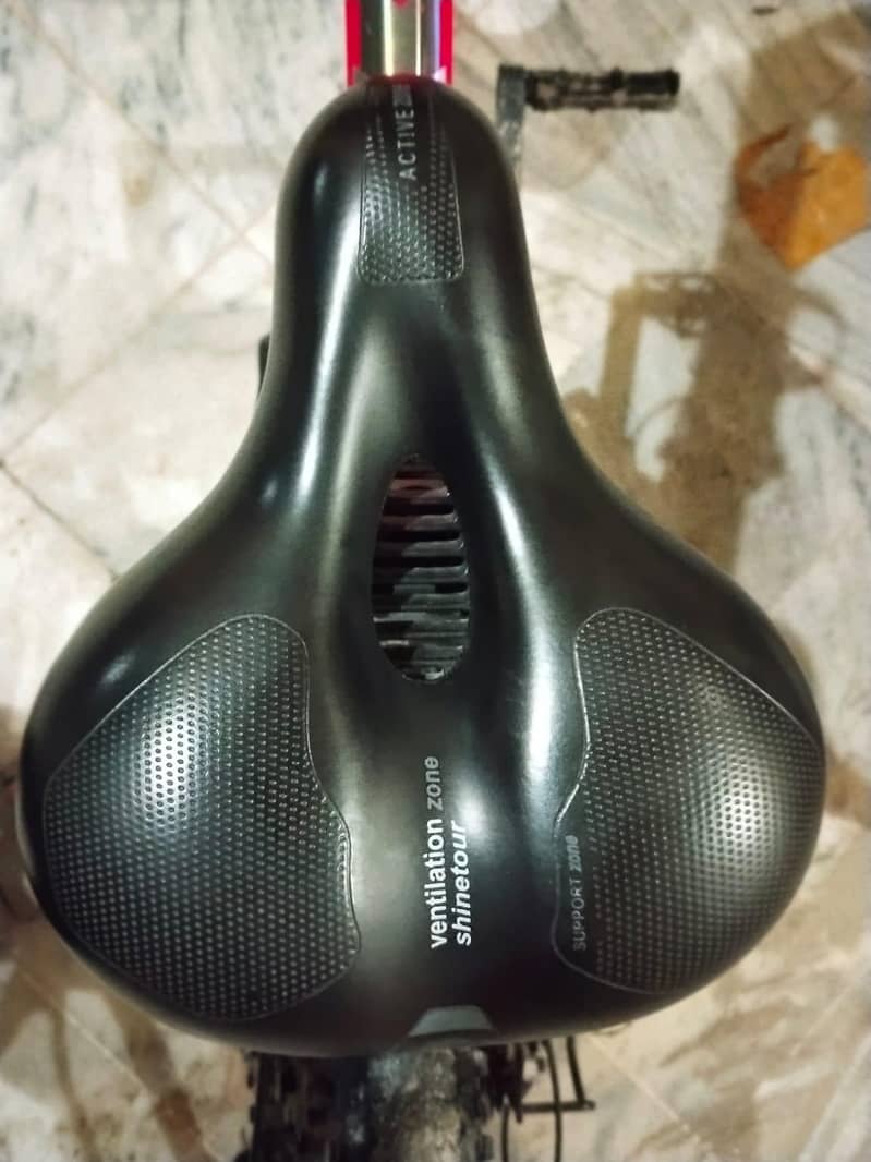 Folding Bicycle 2