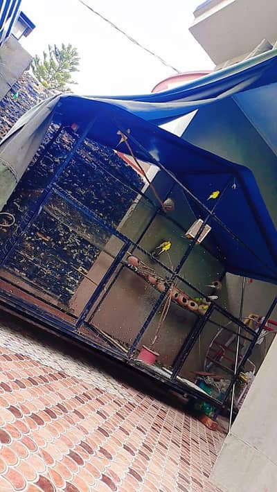 cage br