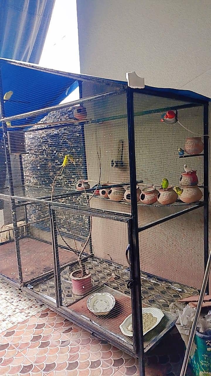 cage br 1