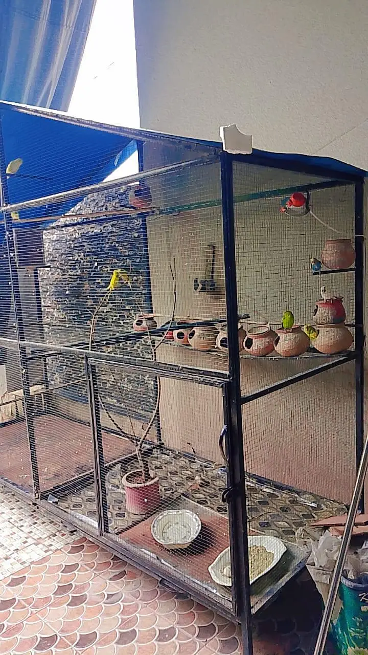 cage br — photo 2