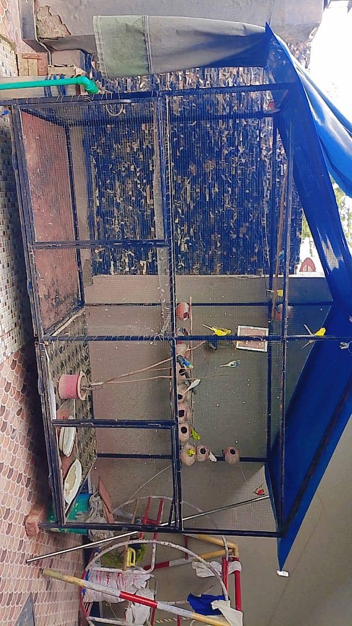 cage br 2