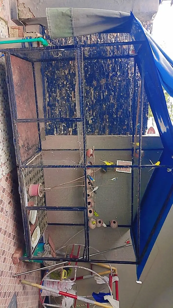 cage br — photo 3