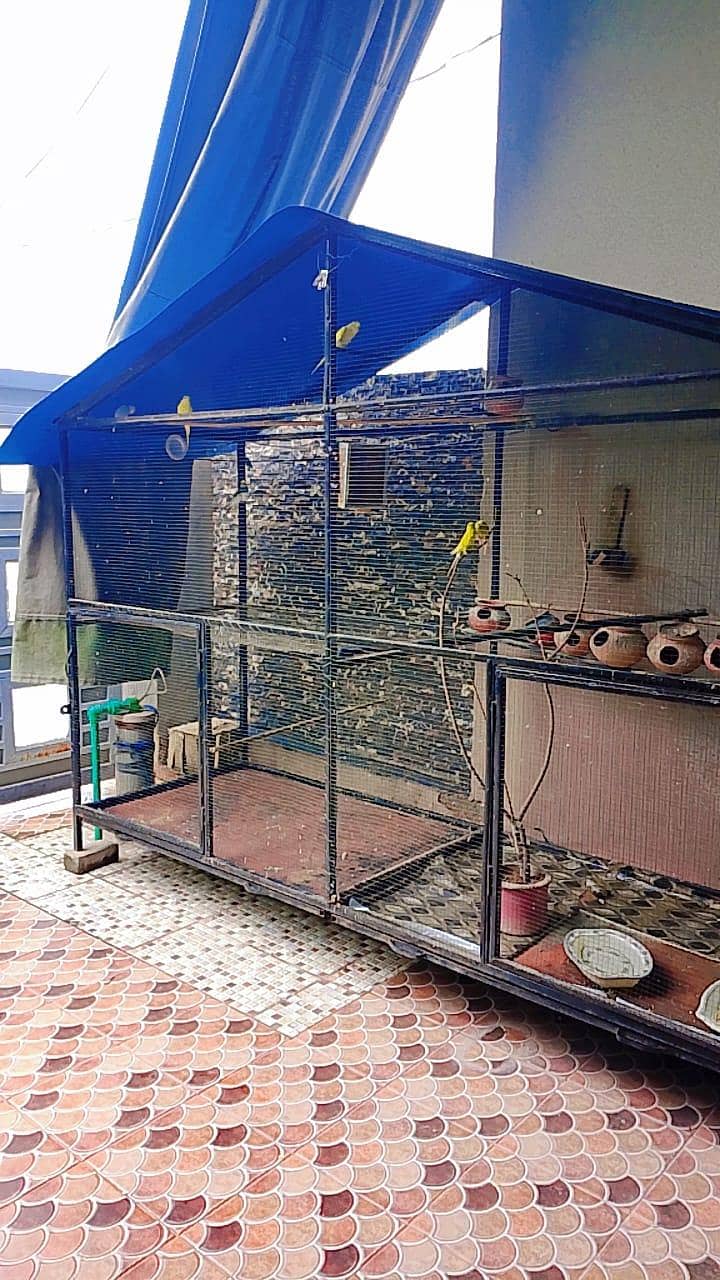 cage br 3