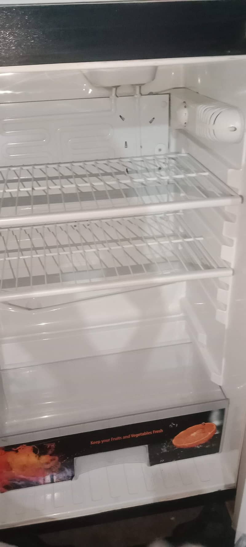 medium size fridge 5