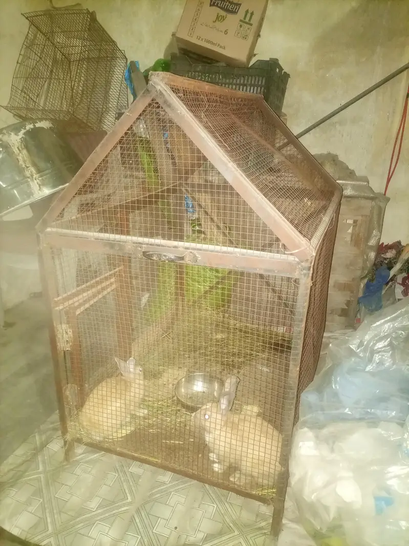 Cages