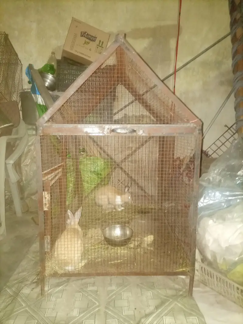 Cages — photo 2