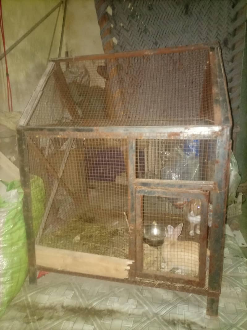 Cages 2