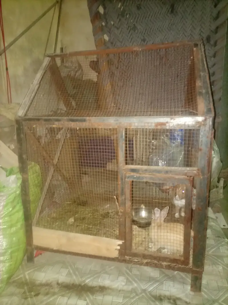Cages — photo 3