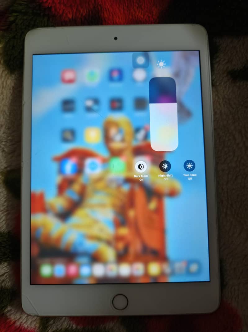 ipad mini 5 256gb 1