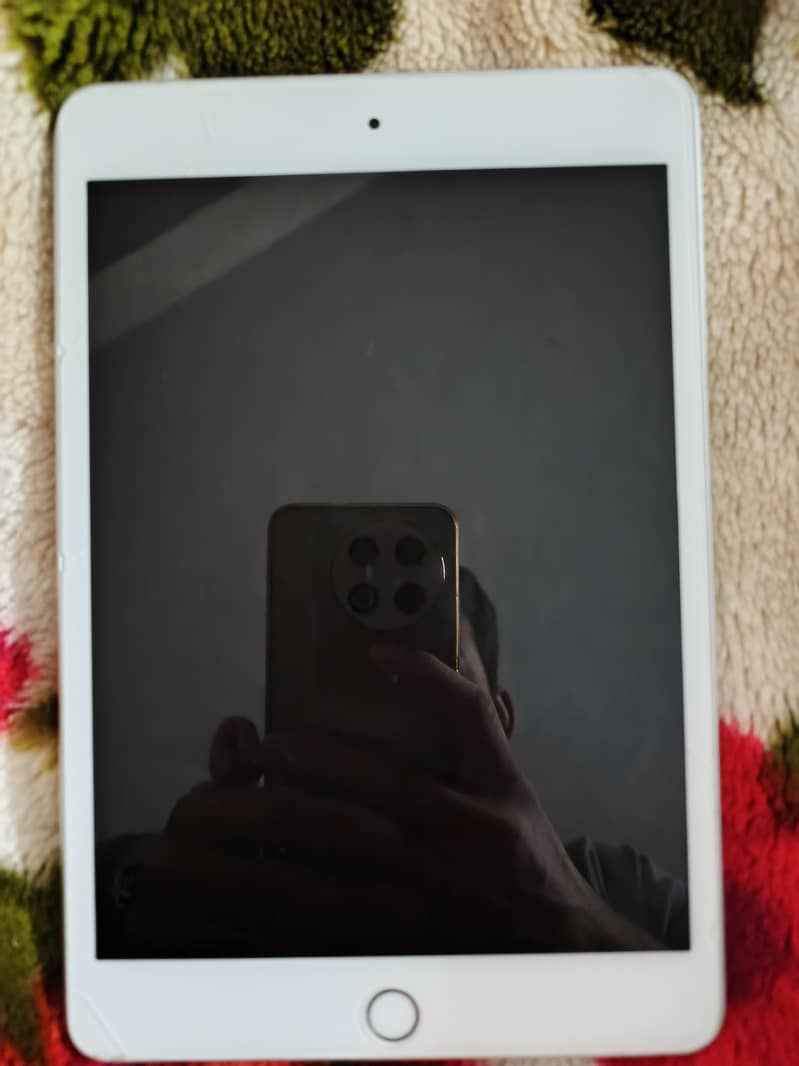 ipad mini 5 256gb 3